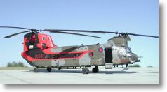 Chinook RAF (Italeri).jpg